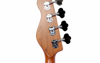 SPIKE 4 - Tribe Guitars