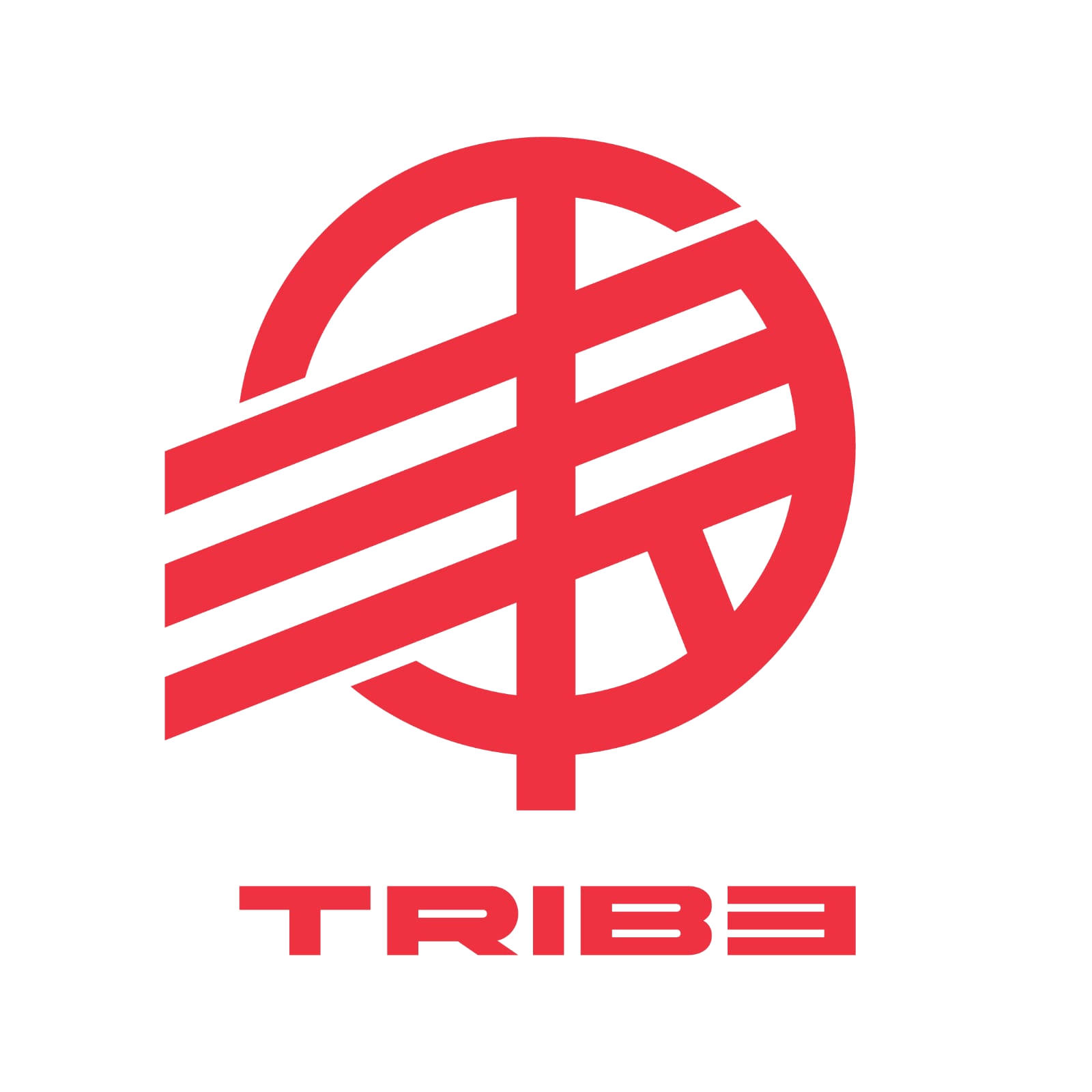 Tribe Guitars